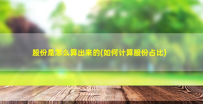 股份是怎么算出来的(如何计算股份占比)-图1