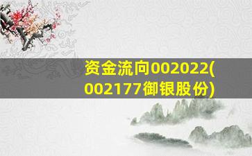 资金流向002022(002177御银股份)-图1