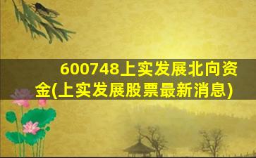 600748上实发展北向资金(上实发展股票最新消息)-图1