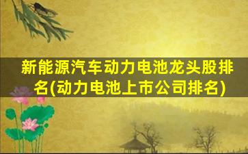 新能源汽车动力电池龙头股排名(动力电池上市公司排名)-图1