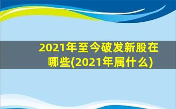 2021年至今破发新股在哪些(2021年属什么)-图1