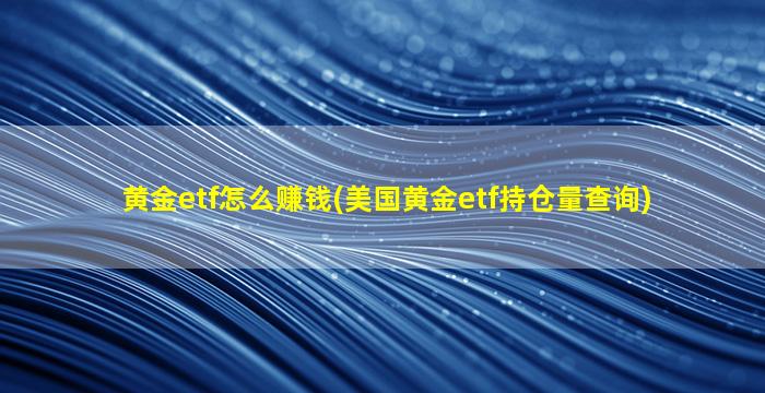 黄金etf怎么赚钱(美国黄金etf持仓量查询)-图1