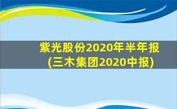 紫光股份2020年半年报(三木集团2020中报)-图1