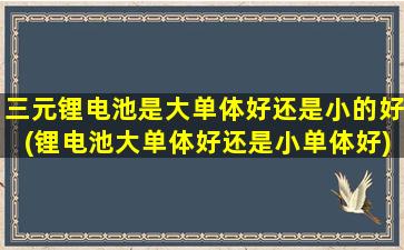 三元锂电池是大单体好还是小的好(锂电池大单体好还是小单体好)-图1