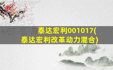 泰达宏利001017(泰达宏利改革动力混合)-图1