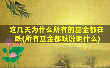 这几天为什么所有的基金都在跌(所有基金都跌说明什么)-图1