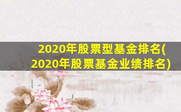 2020年股票型基金排名(2020年股票基金业绩排名)-图1