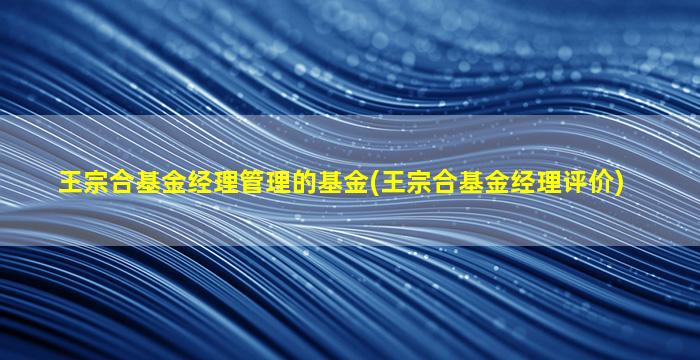 王宗合基金经理管理的基金(王宗合基金经理评价)-图1