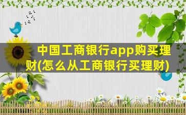 中国工商银行app购买理财(怎么从工商银行买理财)-图1