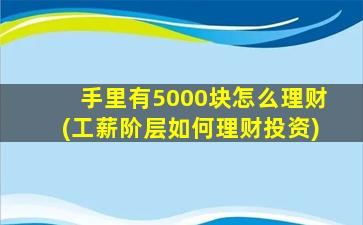 手里有5000块怎么理财(工薪阶层如何理财投资)-图1