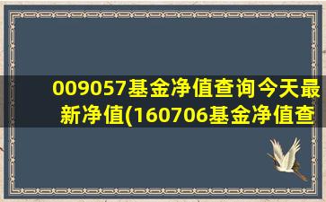 009057基金净值查询今天最新净值(160706基金净值查询今天)-图1