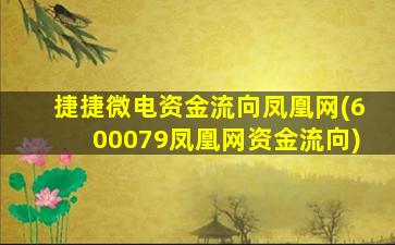 捷捷微电资金流向凤凰网(600079凤凰网资金流向)-图1