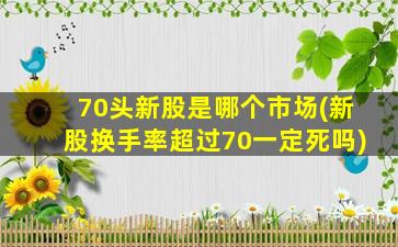 70头新股是哪个市场(新股换手率超过70一定死吗)-图1