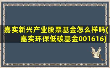 嘉实新兴产业股票基金怎么样吗(嘉实环保低碳基金001616)-图1