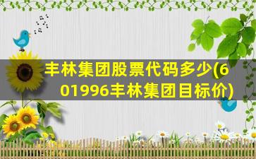 丰林集团股票代码多少(601996丰林集团目标价)-图1