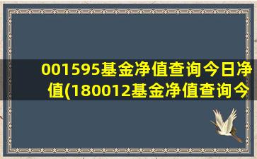 001595基金净值查询今日净值(180012基金净值查询今天最新净)-图1