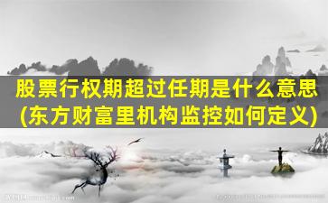 股票行权期超过任期是什么意思(东方财富里机构监控如何定义)-图1