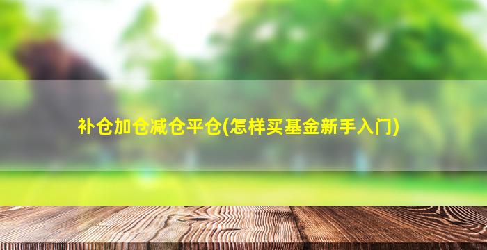 补仓加仓减仓平仓(怎样买基金新手入门)-图1