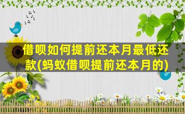 借呗如何提前还本月最低还款(蚂蚁借呗提前还本月的)-图1