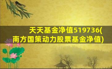 天天基金净值519736(南方国策动力股票基金净值)-图1