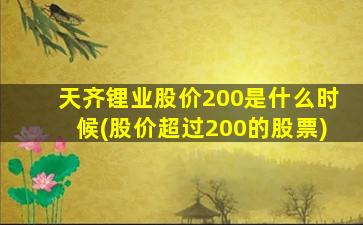 天齐锂业股价200是什么时候(股价超过200的股票)-图1