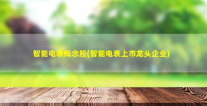 智能电表概念股(智能电表上市龙头企业)-图1