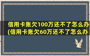 信用卡账欠100万还不了怎么办(信用卡账欠60万还不了怎么办)-图1