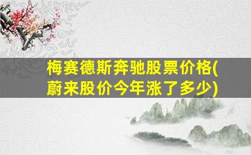 梅赛德斯奔驰股票价格(蔚来股价今年涨了多少)-图1