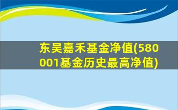 东吴嘉禾基金净值(580001基金历史最高净值)-图1