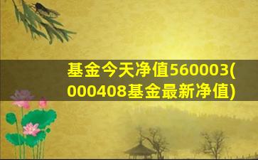 基金今天净值560003(000408基金最新净值)-图1