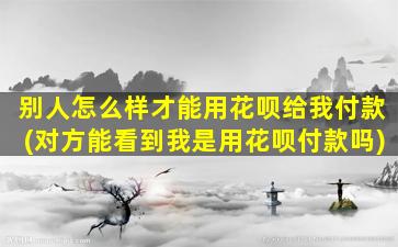 别人怎么样才能用花呗给我付款(对方能看到我是用花呗付款吗)-图1