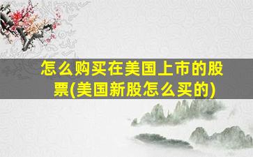 怎么购买在美国上市的股票(美国新股怎么买的)-图1