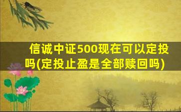 信诚中证500现在可以定投吗(定投止盈是全部赎回吗)-图1