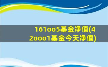 161oo5基金净值(42ooo1基金今天净值)-图1