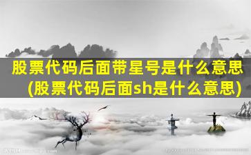 股票代码后面带星号是什么意思(股票代码后面sh是什么意思)-图1