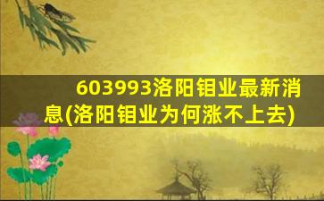 603993洛阳钼业最新消息(洛阳钼业为何涨不上去)-图1