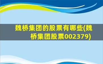 魏桥集团的股票有哪些(魏桥集团股票002379)-图1