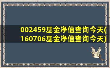 002459基金净值查询今天(160706基金净值查询今天)-图1