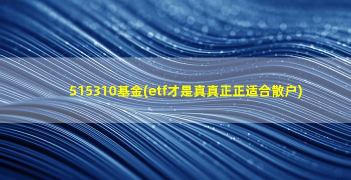 515310基金(etf才是真真正正适合散户)-图1