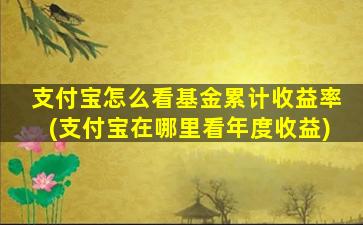 支付宝怎么看基金累计收益率(支付宝在哪里看年度收益)-图1