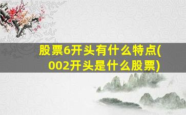 股票6开头有什么特点(002开头是什么股票)-图1