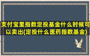 支付宝里指数定投基金什么时候可以卖出(定投什么医药指数基金)-图1