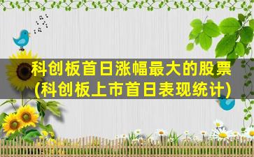 科创板首日涨幅最大的股票(科创板上市首日表现统计)-图1