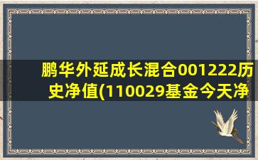 鹏华外延成长混合001222历史净值(110029基金今天净值)-图1