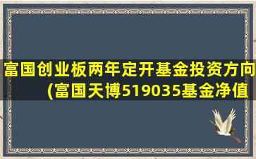 富国创业板两年定开基金投资方向(富国天博519035基金净值)-图1