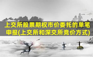 上交所股票期权市价委托的单笔申报(上交所和深交所竞价方式)-图1