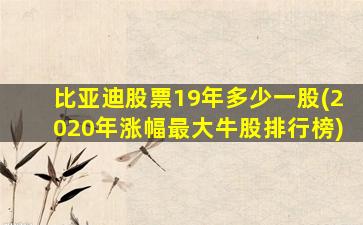 比亚迪股票19年多少一股(2020年涨幅最大牛股排行榜)-图1