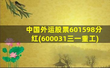 中国外运股票601598分红(600031三一重工)-图1