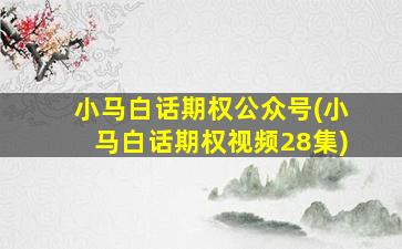 小马白话期权公众号(小马白话期权视频28集)-图1