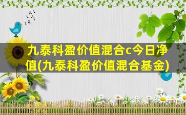 九泰科盈价值混合c今日净值(九泰科盈价值混合基金)-图1